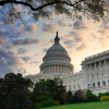 Top Fauci Aide Pleads Guilty
